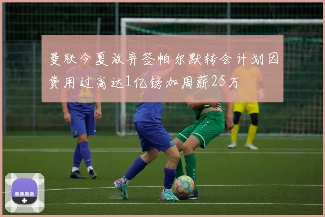 曼联今夏放弃签帕尔默转会计划因费用过高达1亿镑加周薪25万