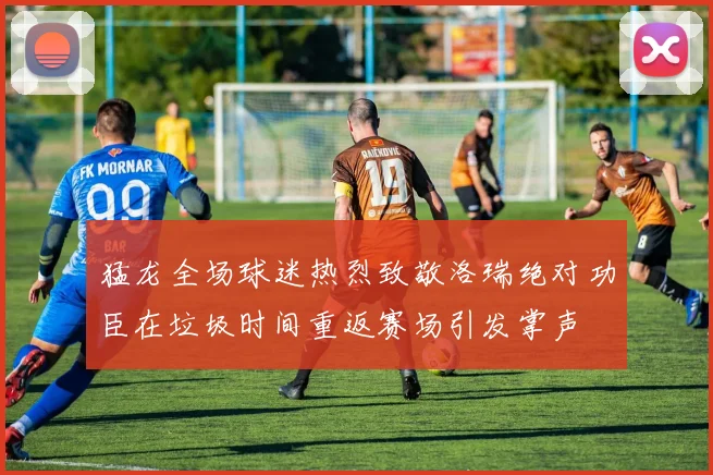 猛龙全场球迷热烈致敬洛瑞绝对功臣在垃圾时间重返赛场引发掌声