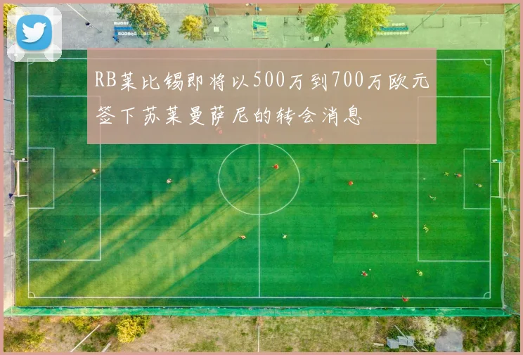 RB莱比锡即将以500万到700万欧元签下苏莱曼萨尼的转会消息