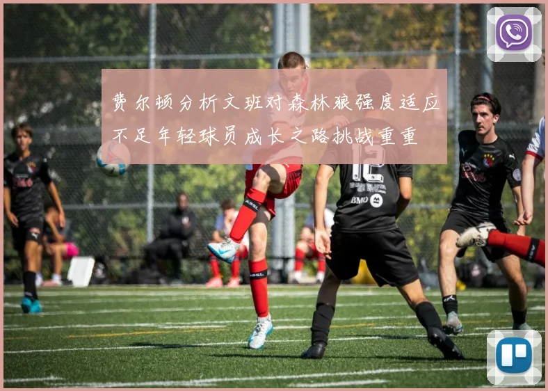 费尔顿分析文班对森林狼强度适应不足年轻球员成长之路挑战重重
